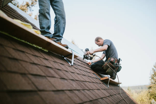 Gutter Installation and Roofing in Andover, MN